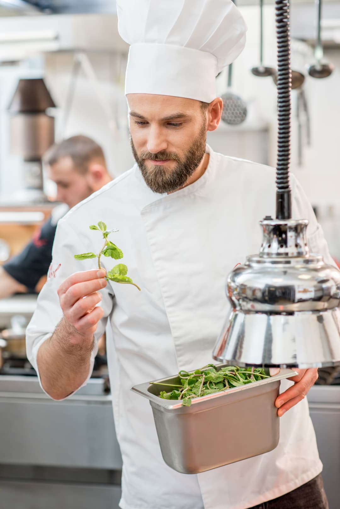Pavārs pārbauda svaigu garšaugu kvalitāti